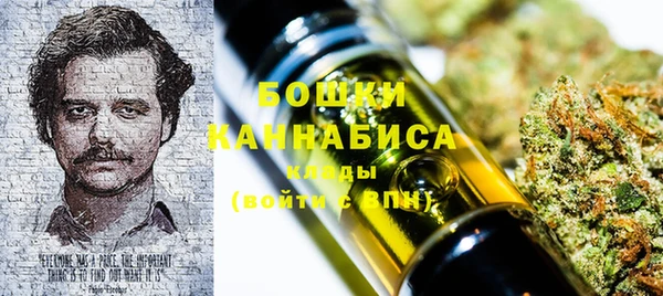 крисы Магас