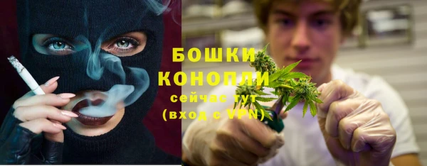 крисы Магас