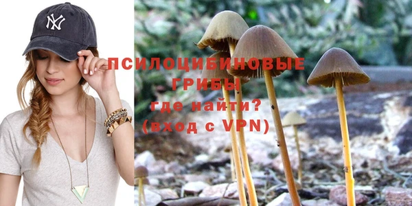 крисы Медногорск