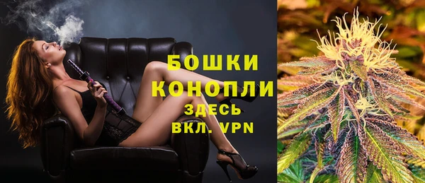 дживик Медвежьегорск