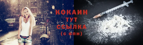 крисы Магас