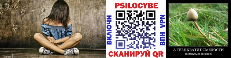 Псилоцибиновые грибы прущие грибы  Заозёрный 